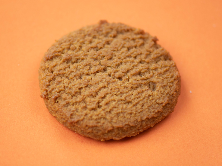 Cookie+ Keto Snickerdoodle - Cookie+ Protein